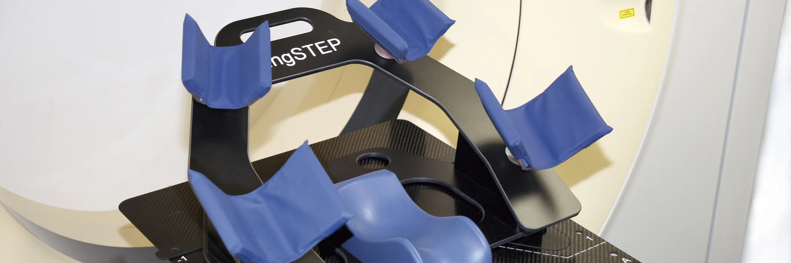 Wingstep WingSTEP FAQ - IT-V